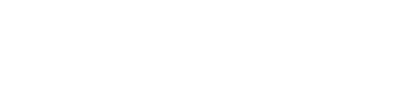 Linkwell electric logo white