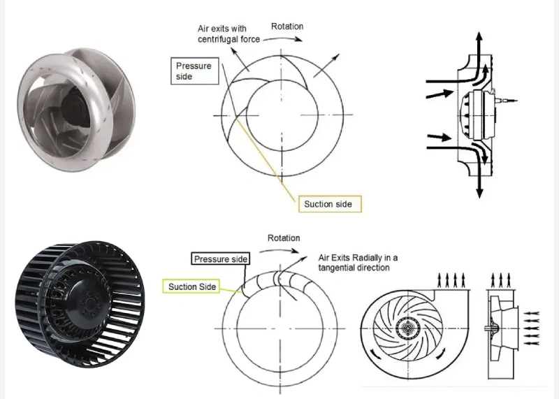 backward curved fan and forward curved fan