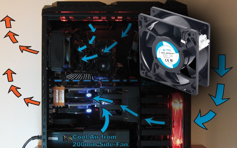 fan roles and functions